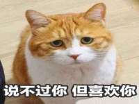 成都德鹏润科技有限公司
