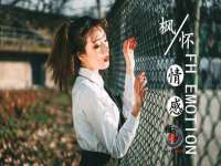 成都德鹏润科技有限公司