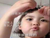 成都德鹏润科技有限公司