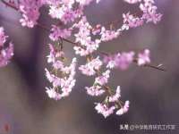 成都德鹏润科技有限公司