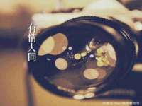 成都德鹏润科技有限公司