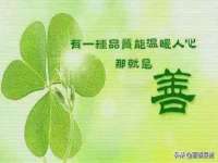 成都德鹏润科技有限公司