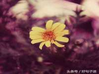 成都德鹏润科技有限公司