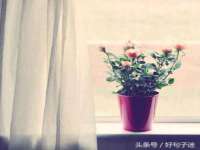 成都德鹏润科技有限公司
