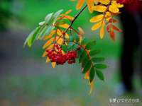 成都德鹏润科技有限公司
