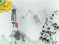 成都德鹏润科技有限公司