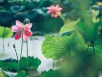 成都德鹏润科技有限公司