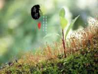 成都德鹏润科技有限公司