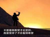 成都德鹏润科技有限公司