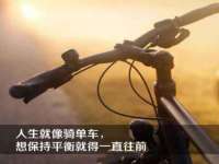 成都德鹏润科技有限公司