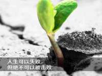 成都德鹏润科技有限公司