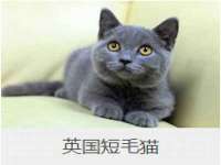 成都德鹏润科技有限公司