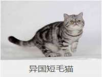 成都德鹏润科技有限公司