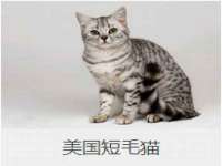 成都德鹏润科技有限公司