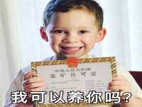 成都德鹏润科技有限公司