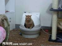 成都德鹏润科技有限公司
