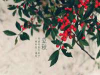 成都德鹏润科技有限公司