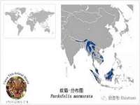 成都德鹏润科技有限公司