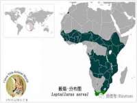 成都德鹏润科技有限公司