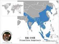 成都德鹏润科技有限公司