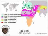 成都德鹏润科技有限公司