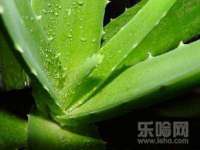 成都德鹏润科技有限公司
