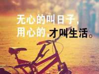 成都德鹏润科技有限公司