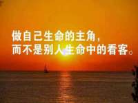 成都德鹏润科技有限公司