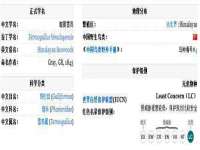 成都德鹏润科技有限公司