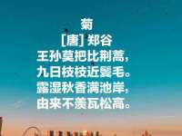 成都德鹏润科技有限公司