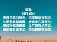成都德鹏润科技有限公司