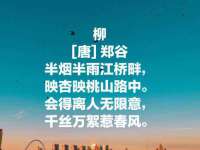 成都德鹏润科技有限公司