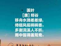 成都德鹏润科技有限公司