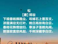 成都德鹏润科技有限公司