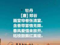 成都德鹏润科技有限公司