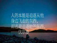 成都德鹏润科技有限公司