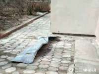 成都德鹏润科技有限公司