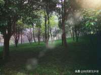 成都德鹏润科技有限公司