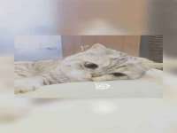 成都德鹏润科技有限公司