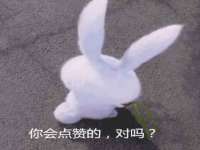 成都德鹏润科技有限公司
