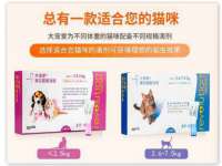 成都德鹏润科技有限公司