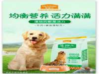 成都德鹏润科技有限公司