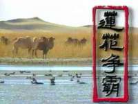 成都德鹏润科技有限公司