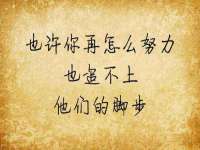 成都德鹏润科技有限公司