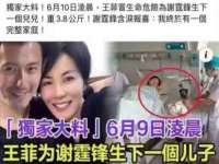 成都德鹏润科技有限公司