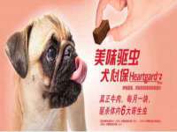 成都德鹏润科技有限公司