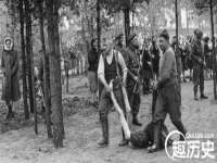 成都德鹏润科技有限公司