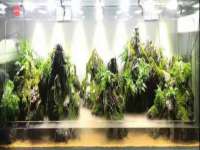 成都德鹏润科技有限公司