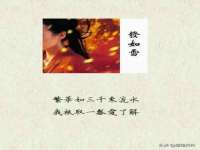 成都德鹏润科技有限公司