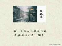 成都德鹏润科技有限公司
